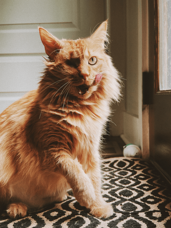 fetty-photo